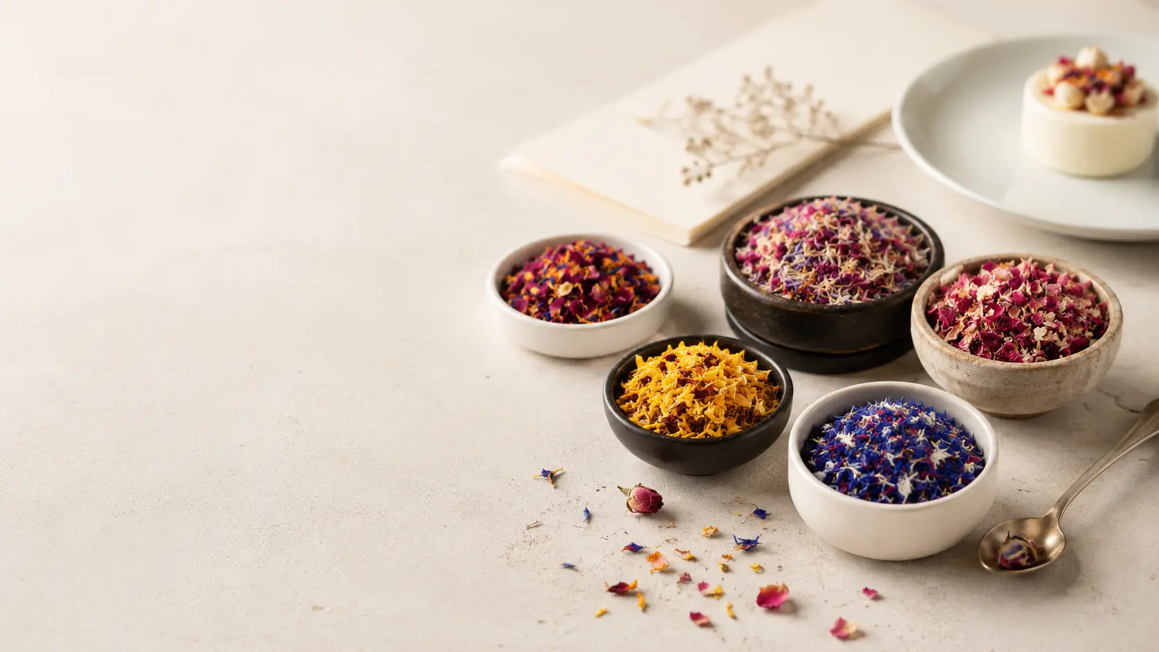 Maison Alfredine — fleurs comestibles séchées pour la gastronomie