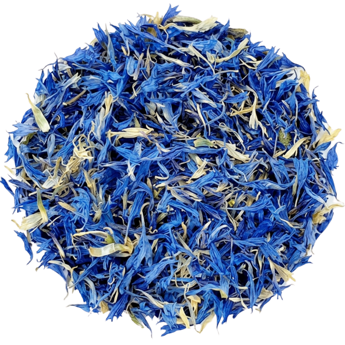 Maison Alfredine — pétales de bleuet bleu