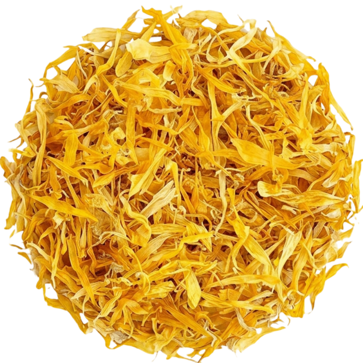 Maison Alfredine — pétales de tournesol